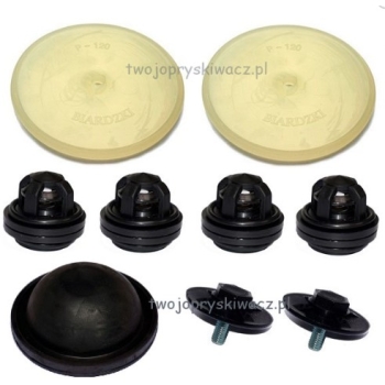 Zestaw naprawczy #2 pompy P-120 Biardzki